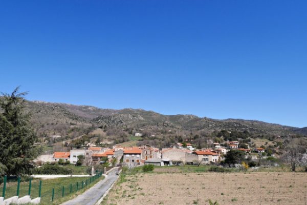 campone
