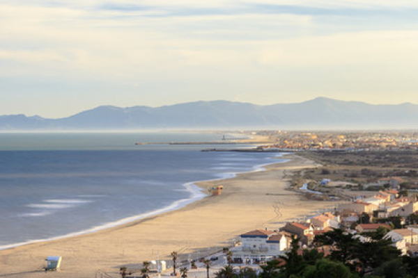 leucate